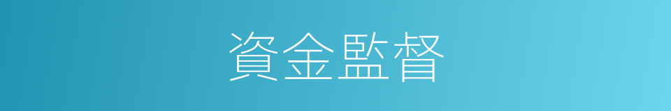 資金監督的同義詞