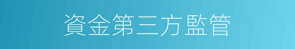 資金第三方監管的同義詞