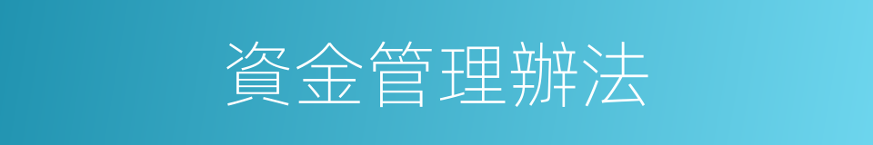 資金管理辦法的同義詞