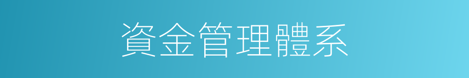 資金管理體系的同義詞