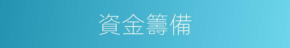 資金籌備的同義詞