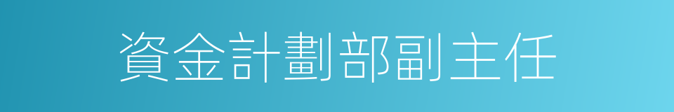 資金計劃部副主任的同義詞