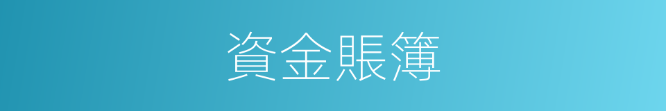 資金賬簿的同義詞