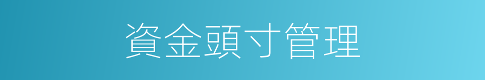 資金頭寸管理的同義詞