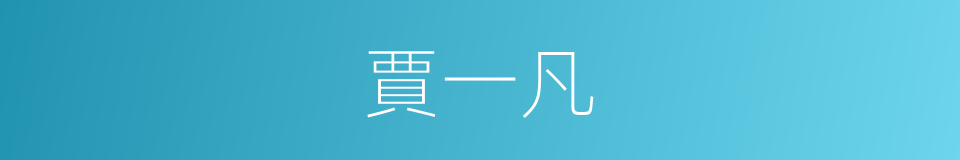 賈一凡的同義詞
