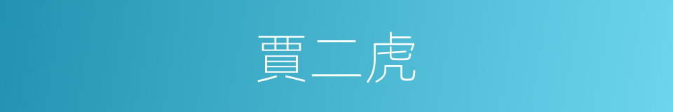 賈二虎的同義詞