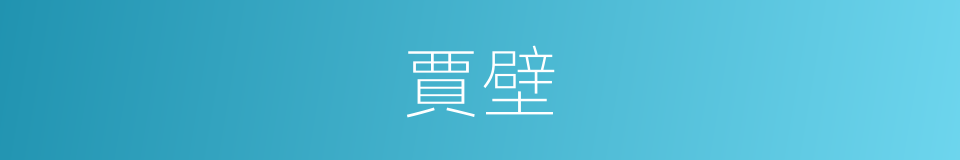 賈壁的同義詞