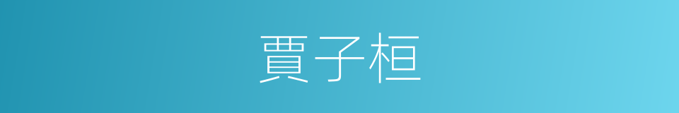 賈子桓的同義詞