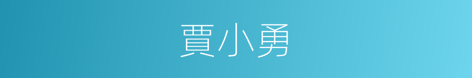 賈小勇的同義詞