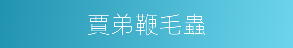 賈弟鞭毛蟲的同義詞