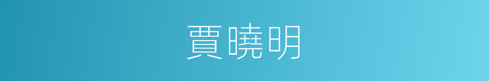 賈曉明的同義詞