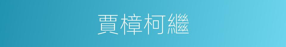 賈樟柯繼的同義詞