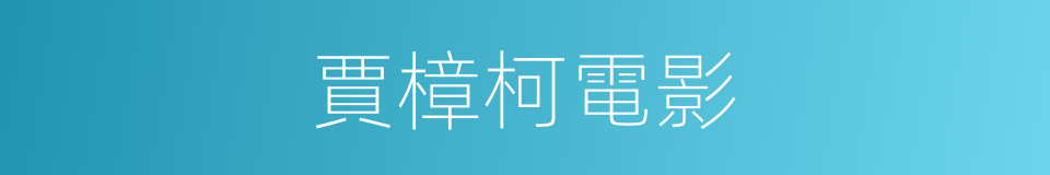 賈樟柯電影的同義詞