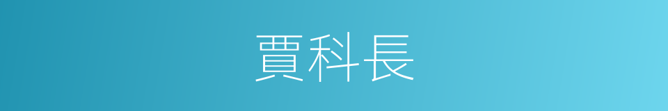 賈科長的同義詞