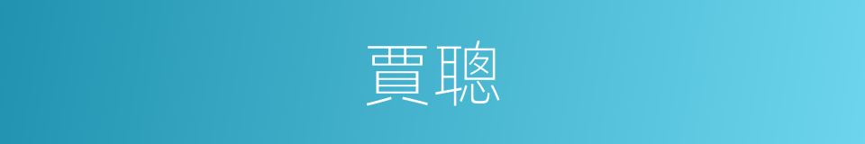 賈聰的同義詞