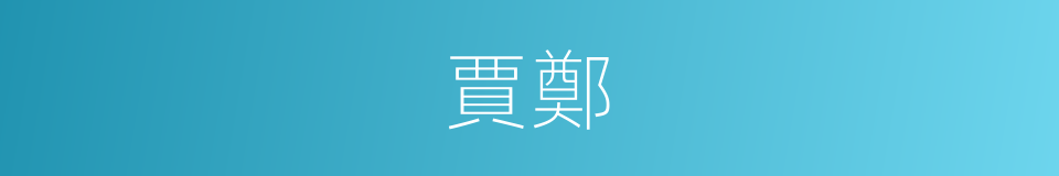 賈鄭的同義詞
