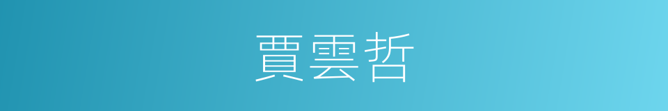 賈雲哲的同義詞