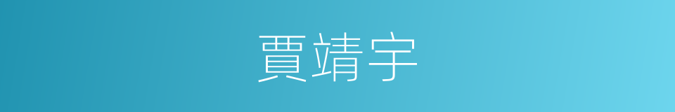 賈靖宇的同義詞
