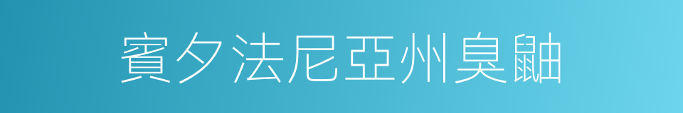 賓夕法尼亞州臭鼬的同義詞
