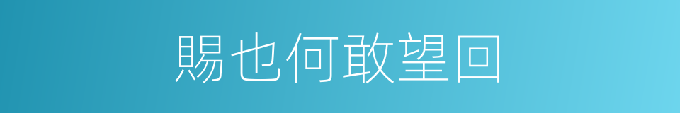 賜也何敢望回的同義詞