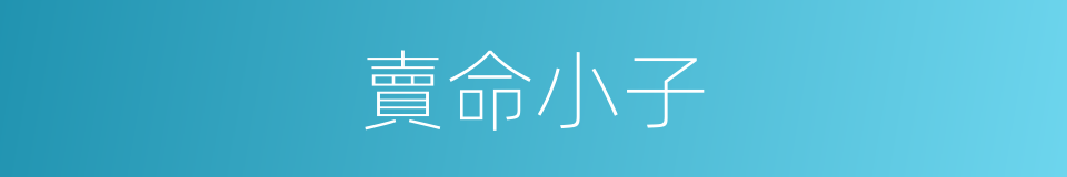 賣命小子的同義詞
