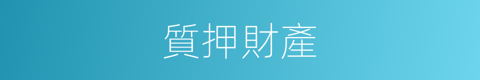 質押財產的同義詞