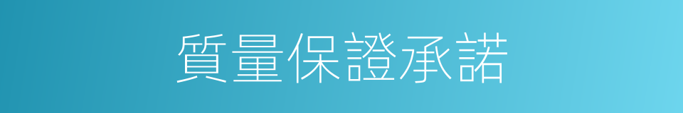 質量保證承諾的同義詞