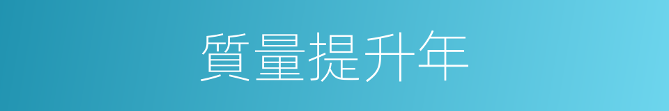 質量提升年的同義詞