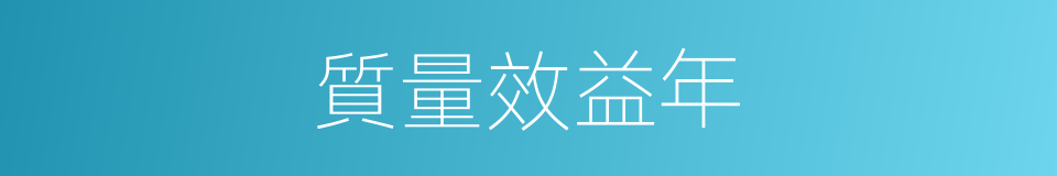 質量效益年的同義詞