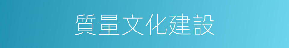 質量文化建設的同義詞
