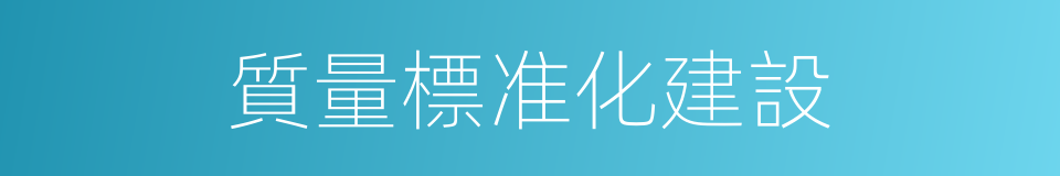 質量標准化建設的同義詞