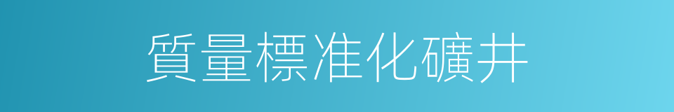 質量標准化礦井的同義詞