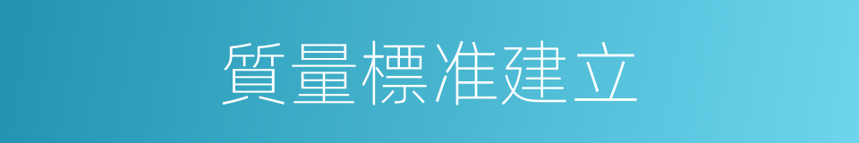 質量標准建立的同義詞