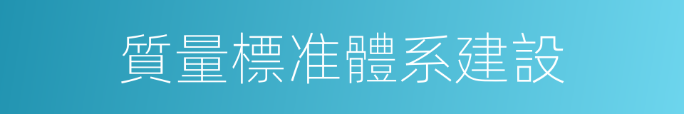 質量標准體系建設的同義詞