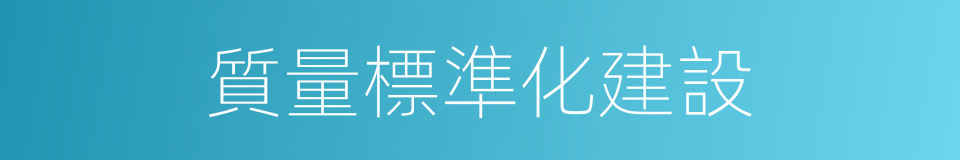 質量標準化建設的同義詞