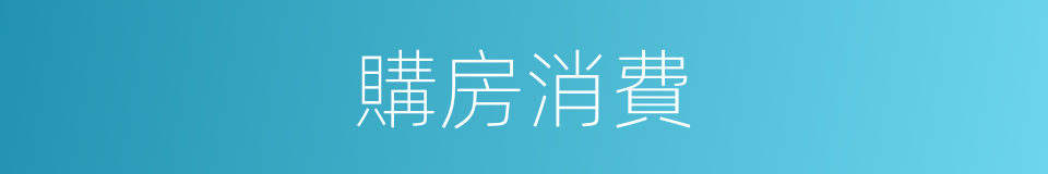 購房消費的同義詞