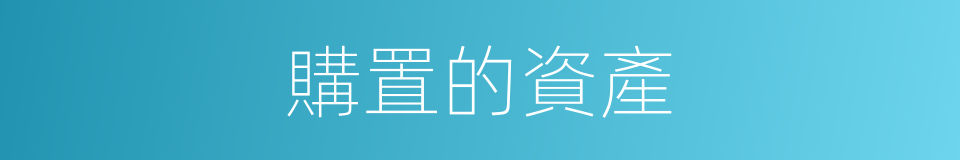 購置的資產的同義詞