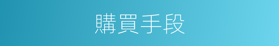 購買手段的同義詞