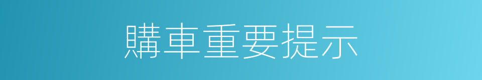 購車重要提示的同義詞