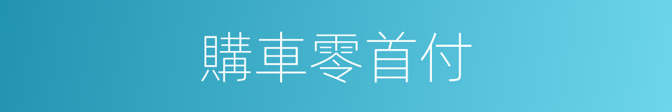 購車零首付的同義詞