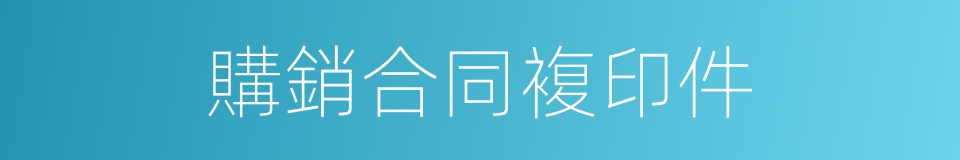 購銷合同複印件的同義詞