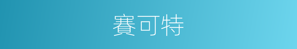 賽可特的同義詞