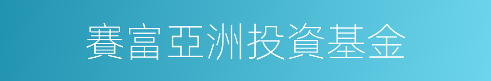 賽富亞洲投資基金的同義詞