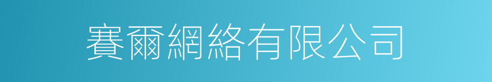 賽爾網絡有限公司的同義詞