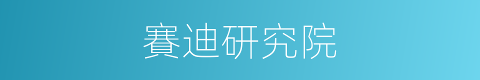 賽迪研究院的同義詞