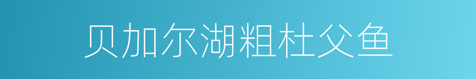 贝加尔湖粗杜父鱼的同义词