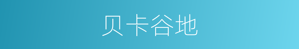 贝卡谷地的同义词