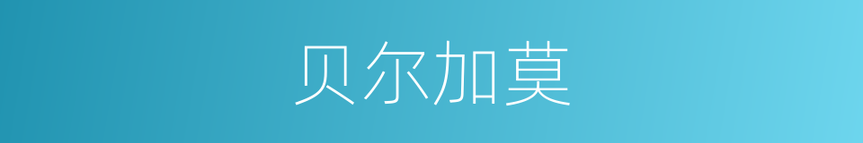 贝尔加莫的同义词