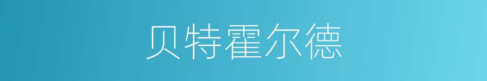 贝特霍尔德的同义词