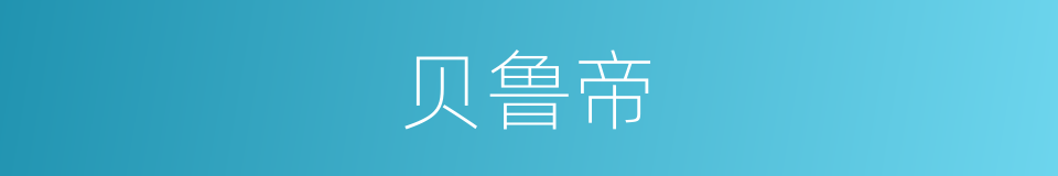 贝鲁帝的同义词